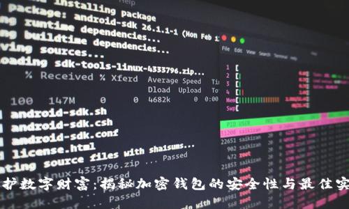 守护数字财富：揭秘加密钱包的安全性与最佳实践