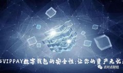 揭秘VIPPAY数字钱包的安全性：让你的资产无忧无
