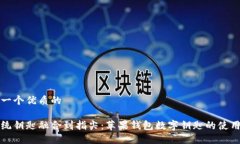 思考一个优质的将传统钥匙融合到指尖：苹果钱