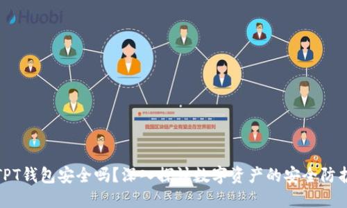 TPT钱包安全吗？深入探讨数字资产的安全防护