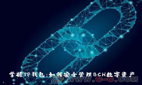 掌握TP钱包:如何安全管理BCH数字资产