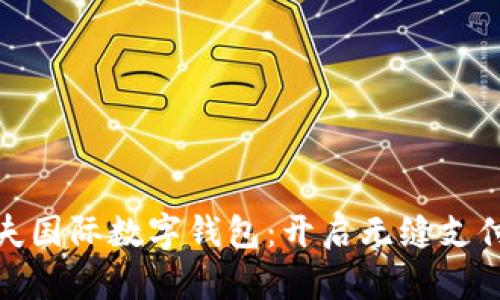 探索马尔代夫国际数字钱包:开启无缝支付的梦幻之旅