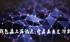 数字钱包在上海试点：开启未来支付新时代