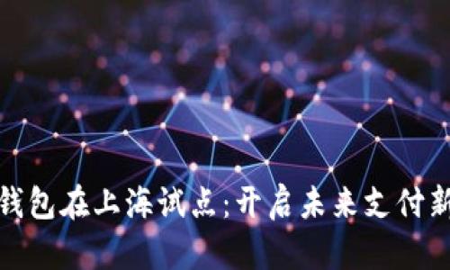 数字钱包在上海试点:开启未来支付新时代