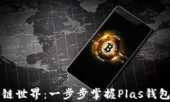     解锁区块链世界：一步步掌握Plas钱包的使用与