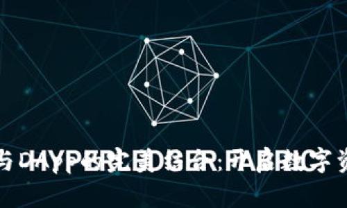 探索TP钱包与DApp的完美结合：开启数字资产的新纪元