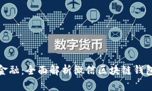 打造未来金融：全面解析微信区块链钱包开发之路