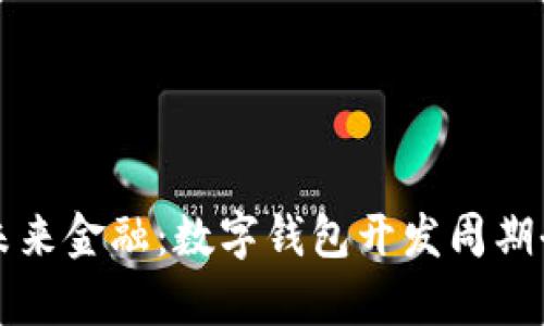 打造未来金融:数字钱包开发周期全解析