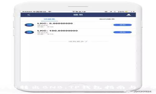 轻松转出BNB:TP钱包指南与步骤