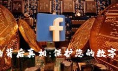 揭开TP钱包被盗的背后真相：保护您的数字资产，