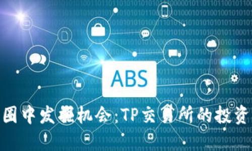 在币圈中发掘机会:TP交易所的投资之道