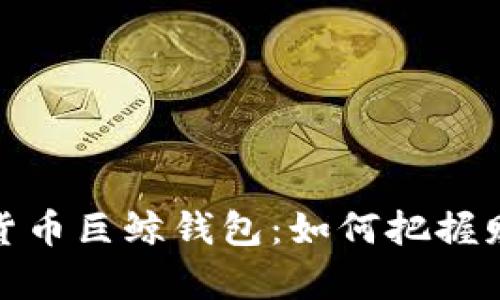 揭秘数字货币巨鲸钱包：如何把握财富的浪潮