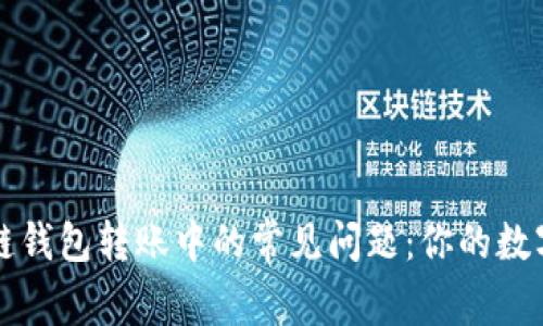 如何解决区块链钱包转账中的常见问题：你的数字资产安全指南