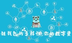 探索区块链钱包的多样性：你的数字资产守护者