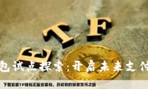 数字钱包试点探索：开启未来支付新篇章